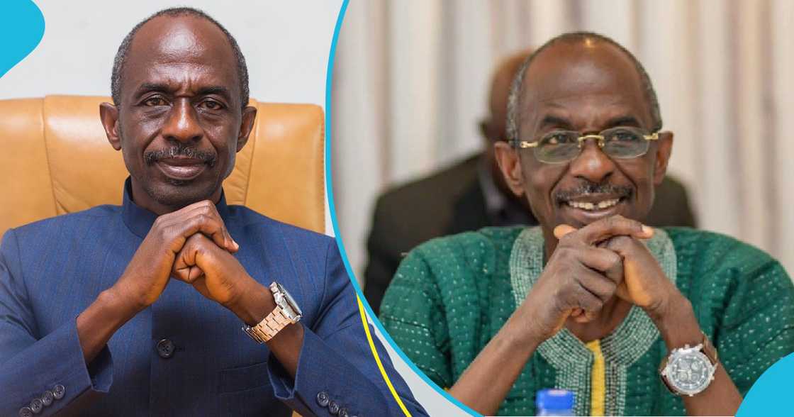 Asiedu Nketia, 2024 Election, NDC, Elephant, NPP, John Dramani Mahama