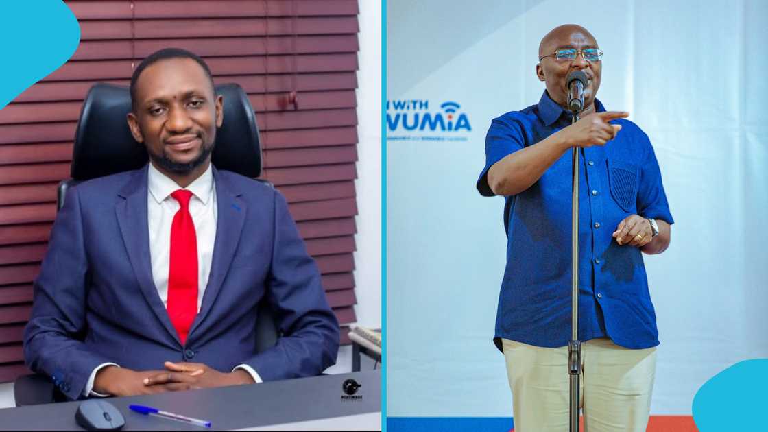Kofi Owusu Nkansah, Dr Mahamudu Bawumia, Election 2024, NPP bullies, Senior members of the party.