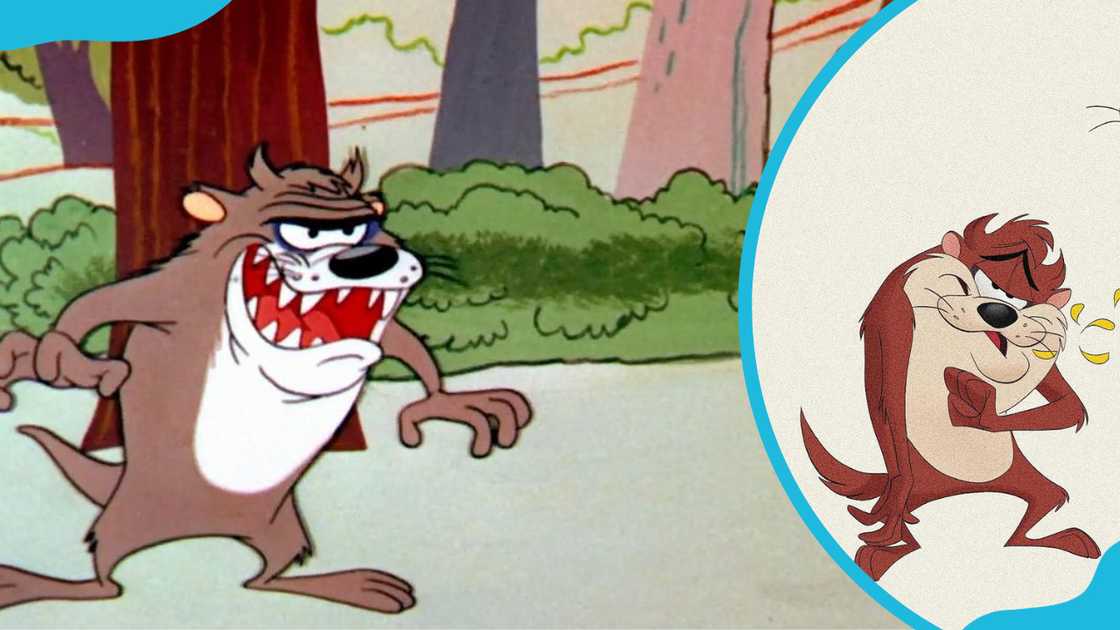 funny cartoon characters funny cartoon characters