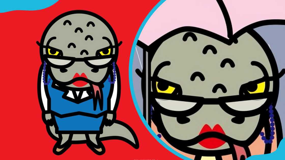 Tsubone for Aggretsuko Tsubone for Aggretsuko