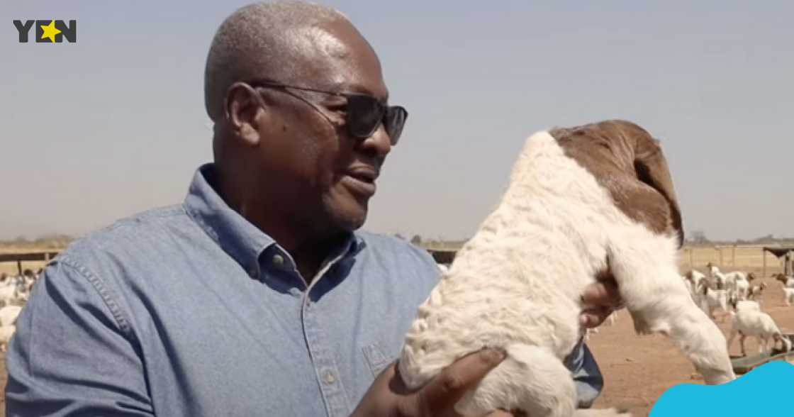 John Mahama, retirement, agriculture, farming, politics, president-elect John Mahama, retirement, agriculture, farming, politics, president-elect