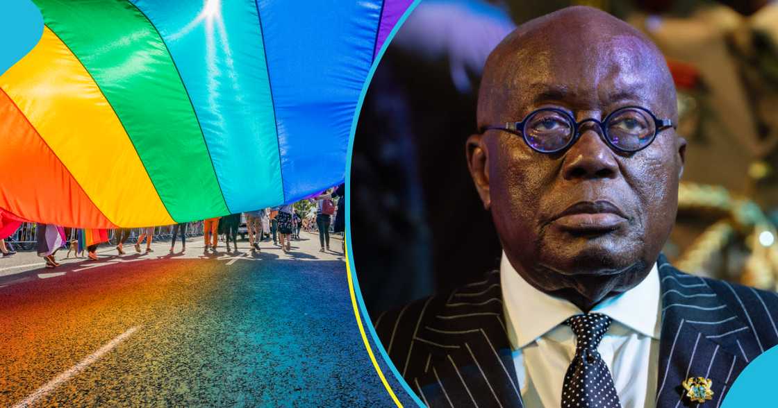 Anti-LGBT Bill: Prof Adei Says Akufo-Addo's Decision A Do-Or-Die Affair For NPP Anti-LGBT Bill: Prof Adei Says Akufo-Addo's Decision A Do-Or-Die Affair For NPP