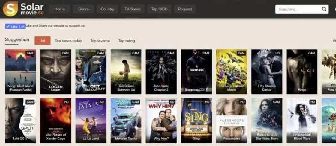 TFPDL movies and series: how to download and alternatives