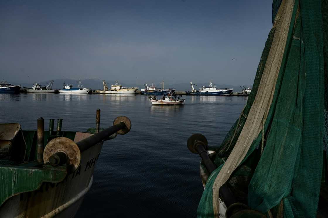 The controversy over bottom trawling pits conservationists and small-scale fishermen against an industry that says it is being unfairly attacked, hurting consumers The controversy over bottom trawling pits conservationists and small-scale fishermen against an industry that says it is being unfairly attacked, hurting consumers