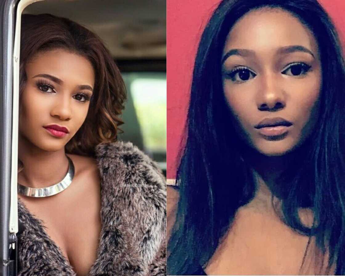 Imani Ayew Imani Ayew