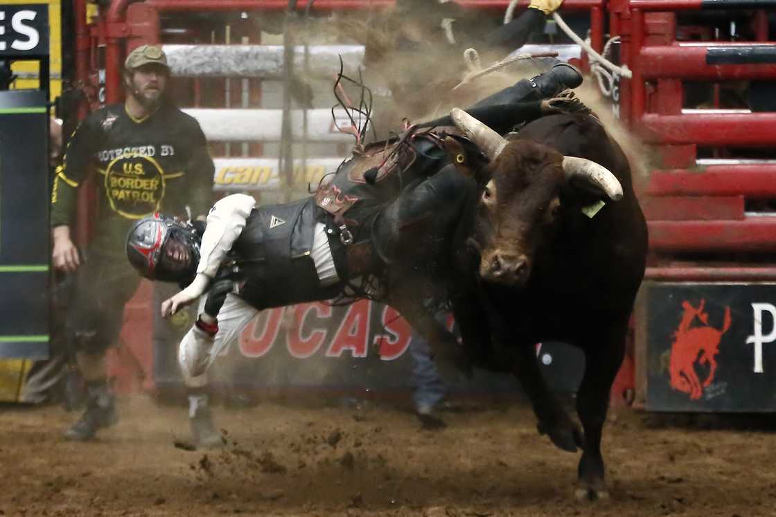 things to do in Fort Worth things to do in Fort Worth