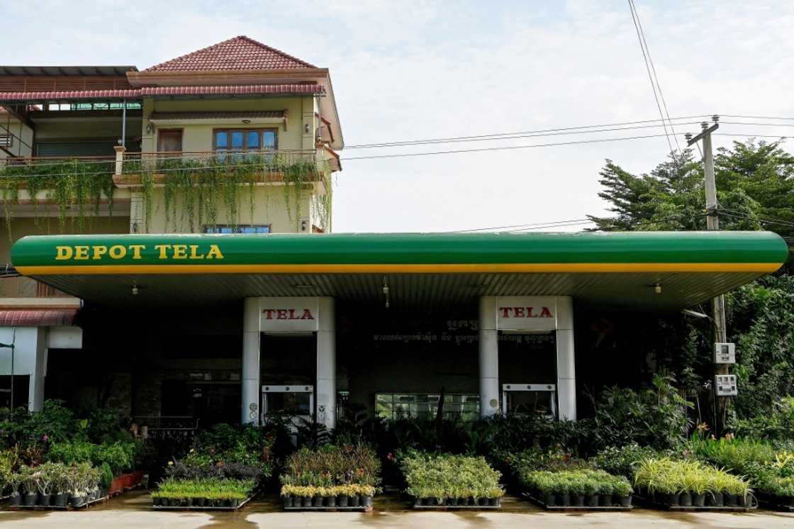 Going green: this station in Cambodia has gone from selling petrol to plants Going green: this station in Cambodia has gone from selling petrol to plants