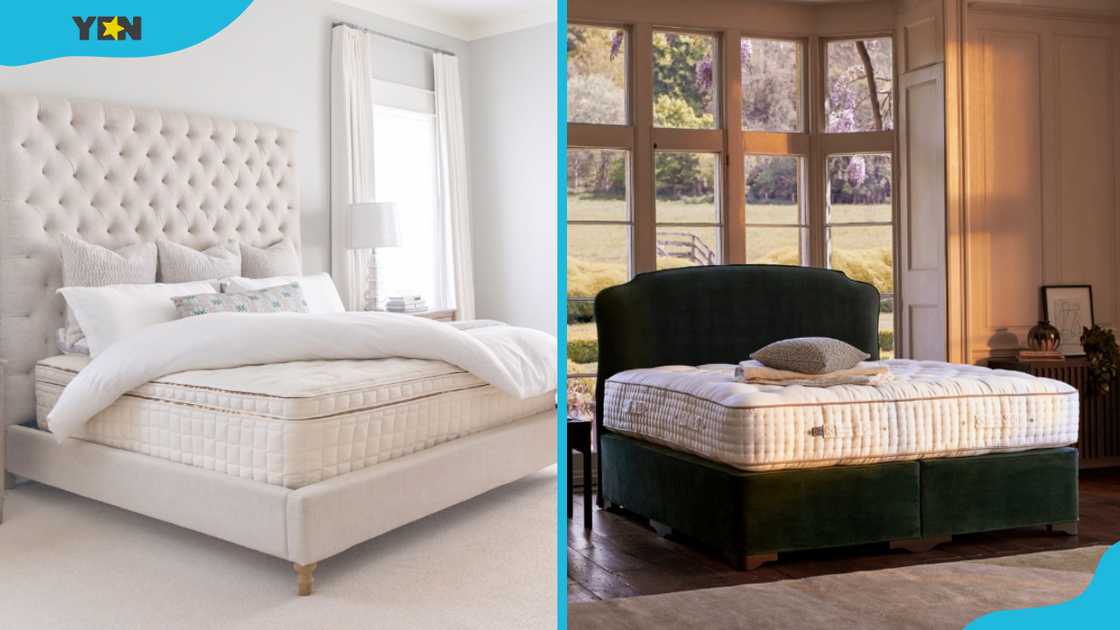 Halcyon Elysium (L) and Masterpiece Superb (R) mattress