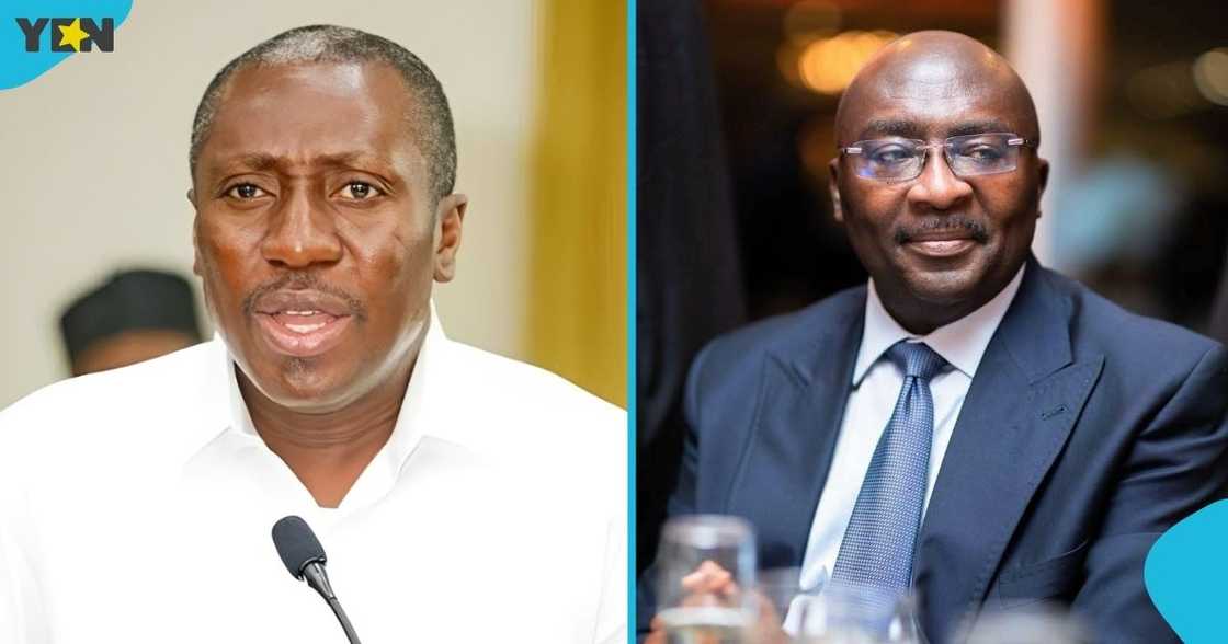 Minority Leader, Alexander Afenyo-Markin, Dr Mahamudu Bawumia, running mate, 2028 elections, NPP.