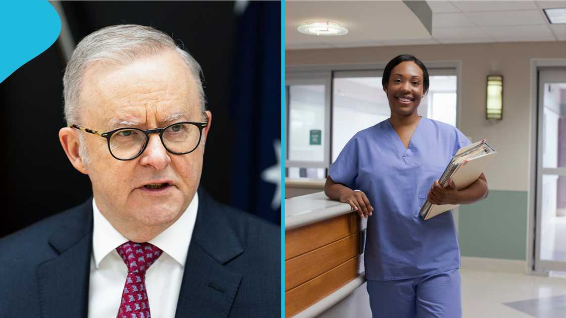 Australia jobs and salaries 2026, highest-paying jobs in Australia, Construction Manager salary Australia, top-earning occupations Australia, most common jobs in Australia, Sales Assistant jobs Australia Australia jobs and salaries 2026, highest-paying jobs in Australia, Construction Manager salary Australia, top-earning occupations Australia, most common jobs in Australia, Sales Assistant jobs Australia