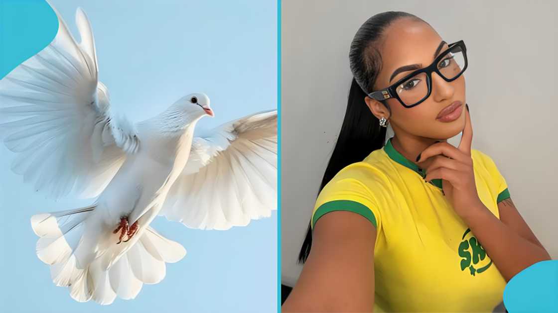 Ayzia J Toledo, New Jersey car crash, content creator, Bristol, Pennsylvania, social media influencer, Henrietta Carter, Route 55 accident, memorial, GoFundMe, grief