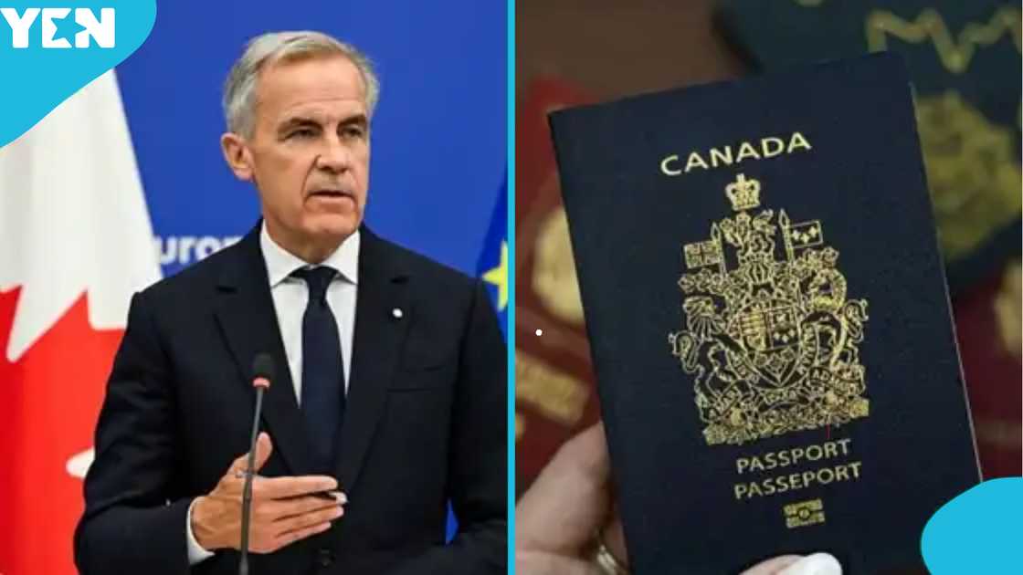 Canadian citizenship application fee, IRCC fee schedule, Canadian immigration fees, citizenship fee for adults, citizenship fee for minors, stateless adults Canadian citizenship fee, business immigration fees Canada, spousal sponsorship fee Canada