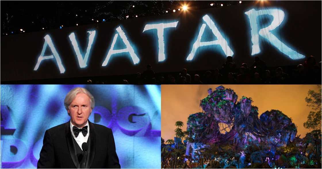 Avatar 2: Director James Cameron says the sequel's filming is finished