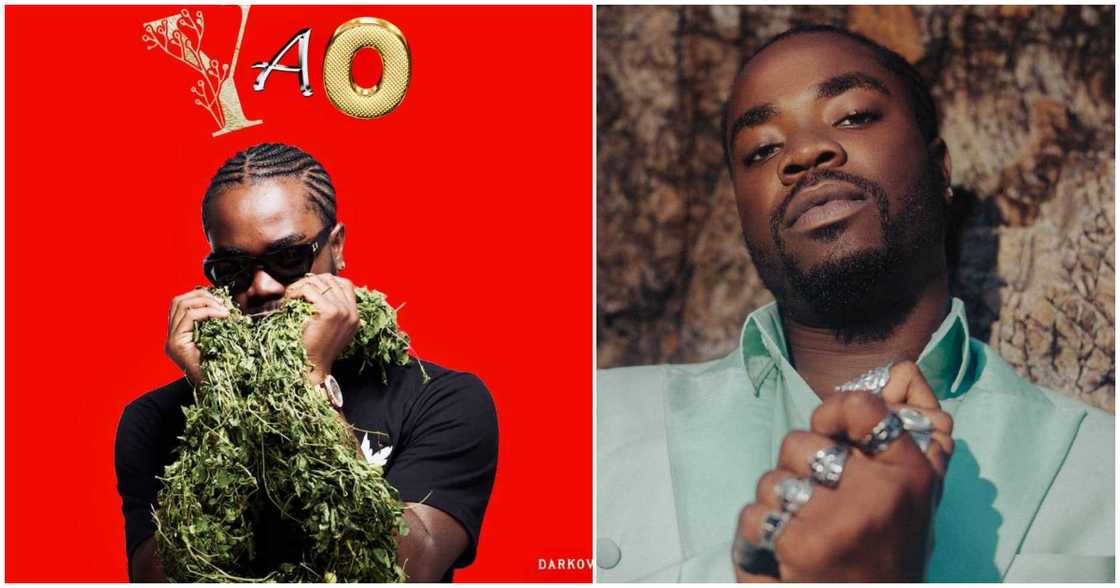 Darkovibes Darkovibes