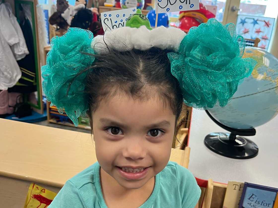 Crazy Hair Day Crazy Hair Day