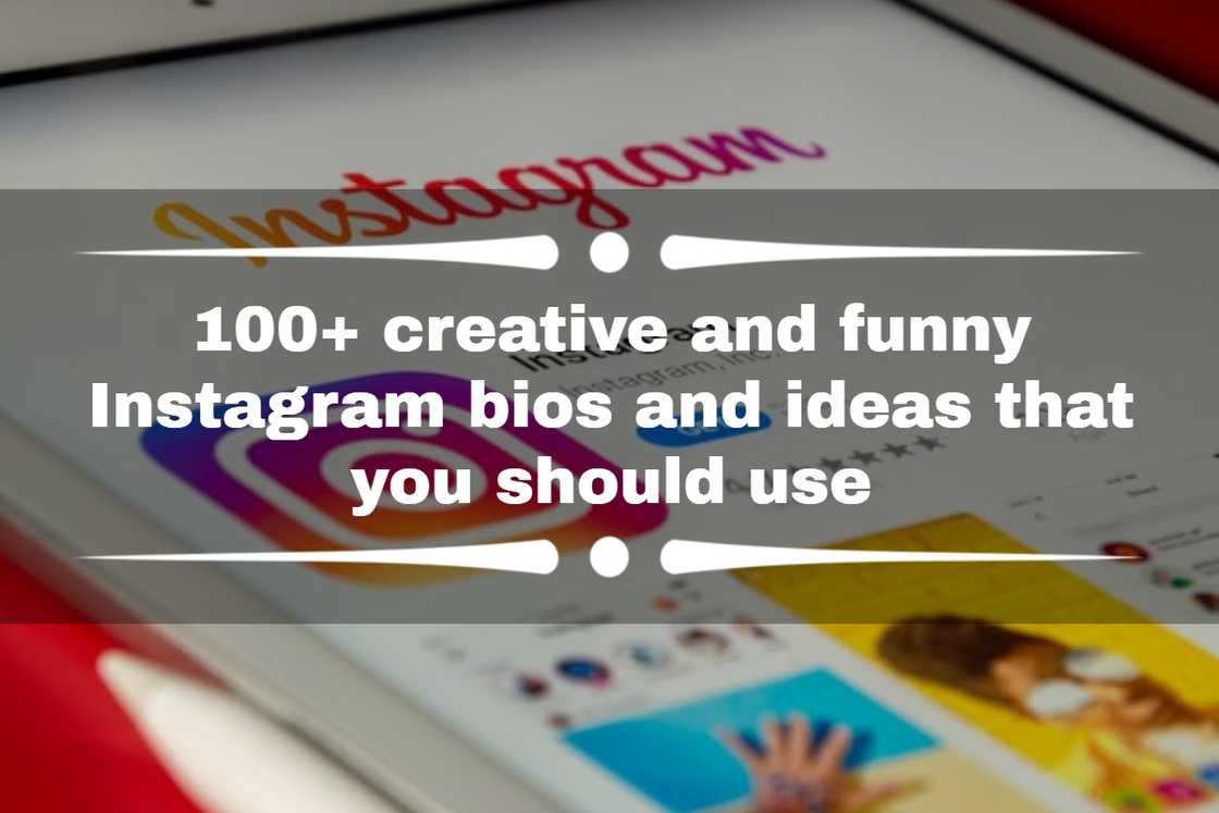 funny bios for instagram