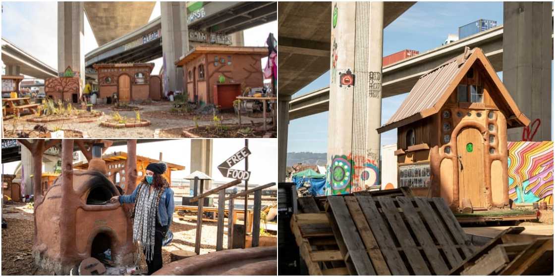 Homeless People Display Rare Creativity by Building Village under Bridge, it Has Clinic Facility Homeless People Display Rare Creativity by Building Village under Bridge, it Has Clinic Facility