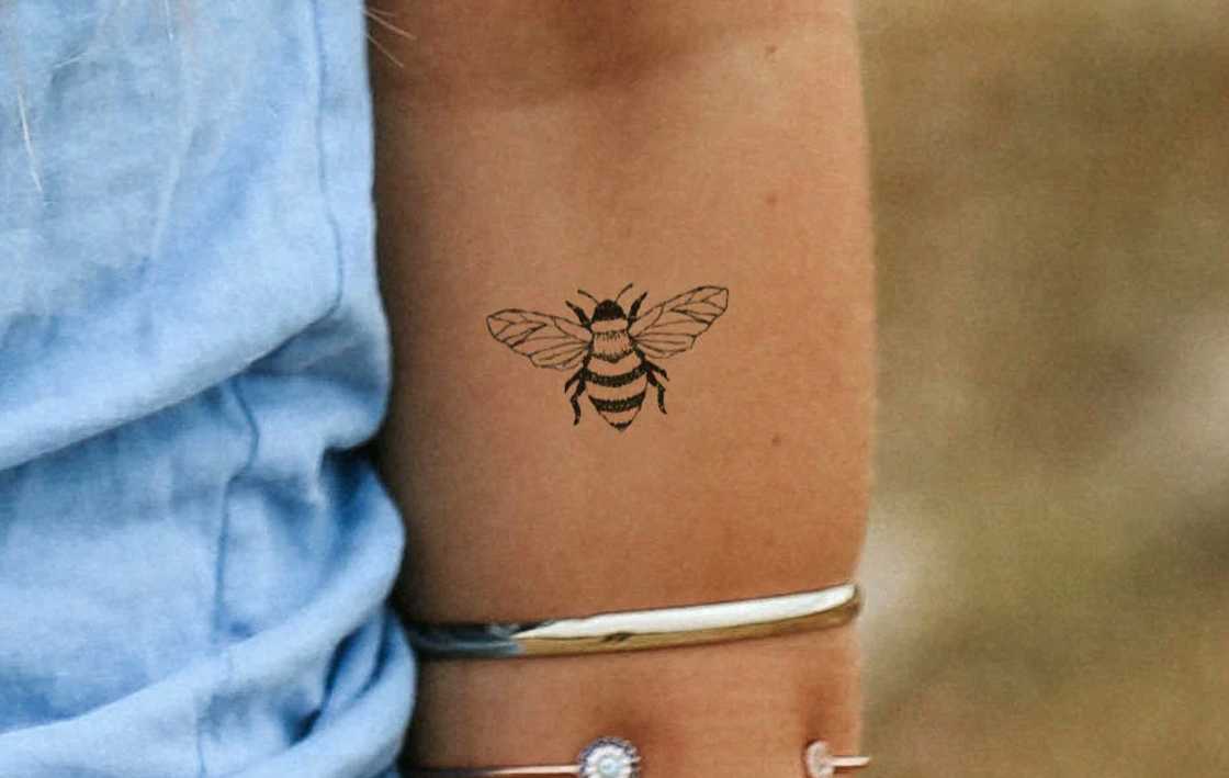 American traditional tattoo American traditional tattoo