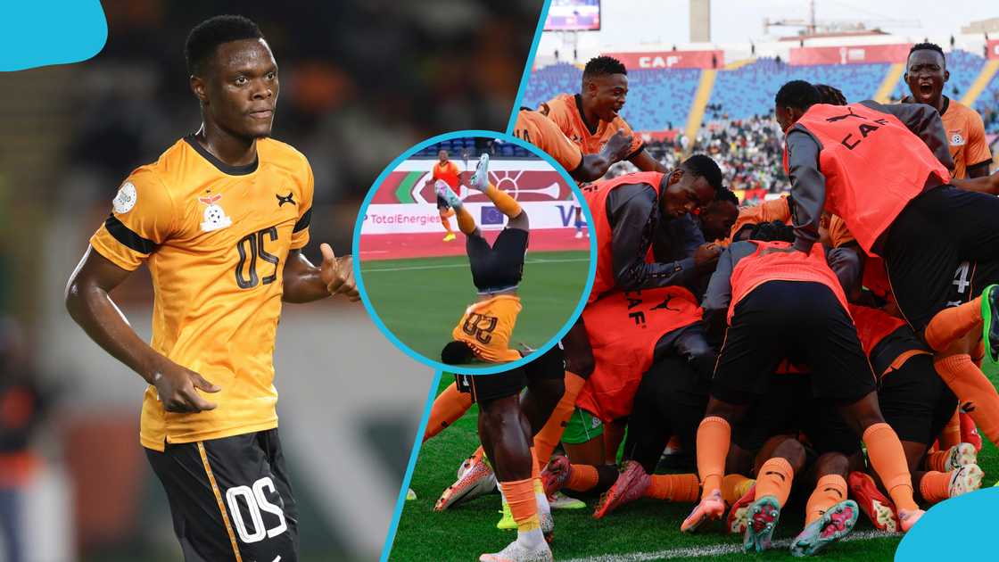 AFCON 2025, Patson Daka injury, Zambia football, Chipolopolo, Mali vs Zambia highlights, goal celebration accident, Stade Mohammed V, African Cup of Nations news.