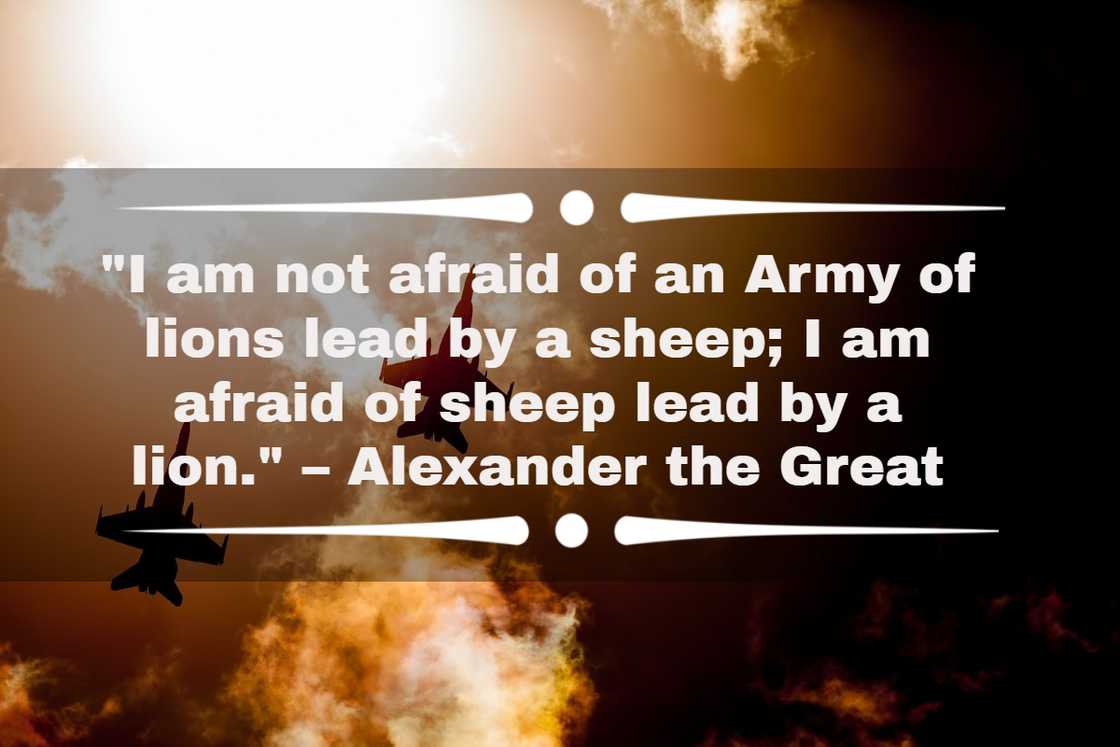 war quotes