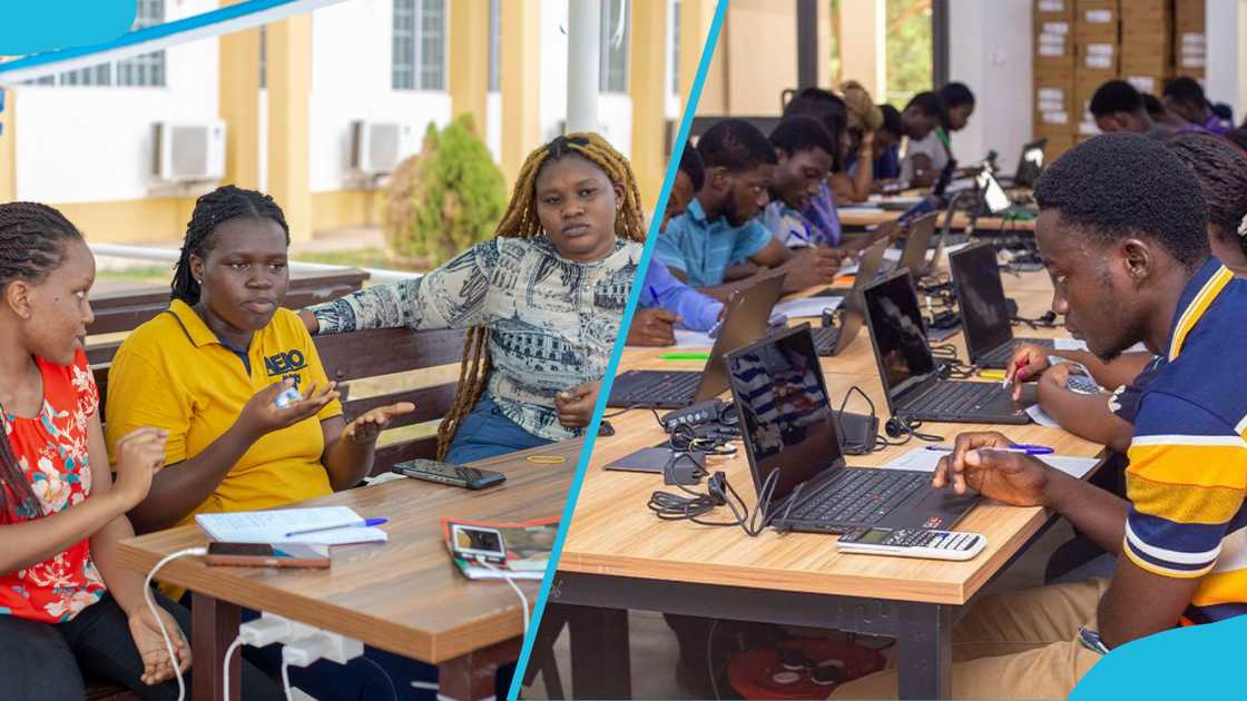 Students having a discussion outside and others doing an exam using their laptops. Students having a discussion outside and others doing an exam using their laptops.