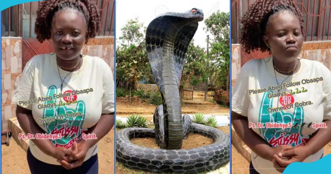 Obaapa Gladys in pics Obaapa Gladys in pics