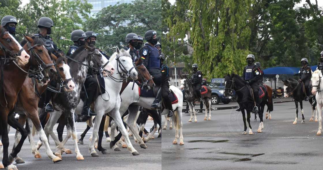 IGP Akufo Dampare launches horse patrol operations in the Police Service IGP Akufo Dampare launches horse patrol operations in the Police Service