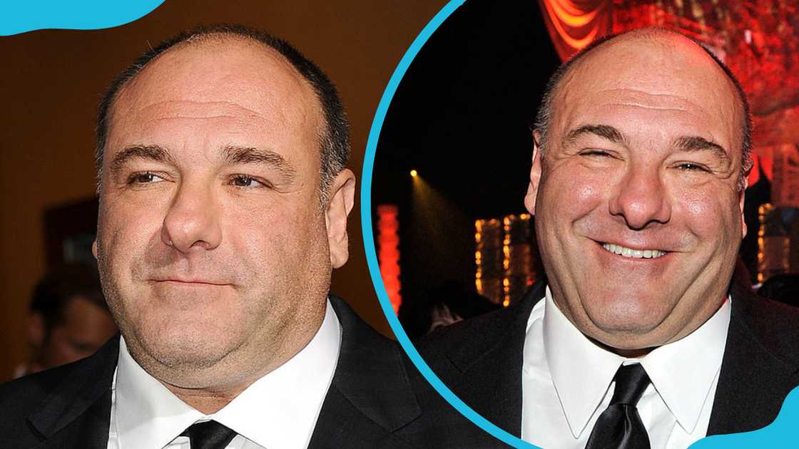James Gandolfini in blacks suits, ties, and white shirts James Gandolfini in blacks suits, ties, and white shirts
