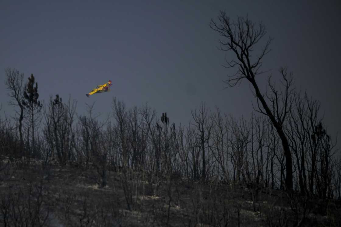 Wildfires have been raging in parts of Portugal for several days Wildfires have been raging in parts of Portugal for several days
