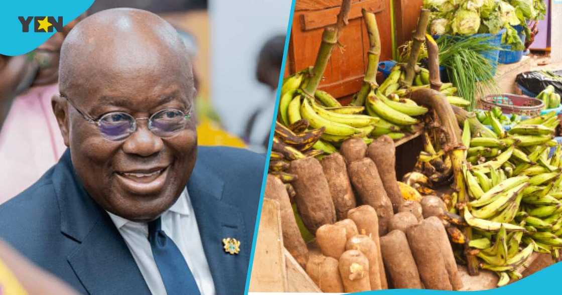 IMF Says Ghana's Economy Is Showing Signs Of Stabilisation, Touts "Resilient" 2023 Growth IMF Says Ghana's Economy Is Showing Signs Of Stabilisation, Touts "Resilient" 2023 Growth