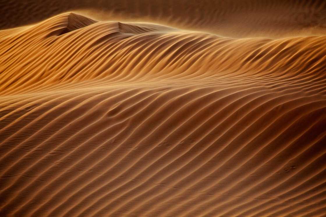 What is the driest desert in the world
