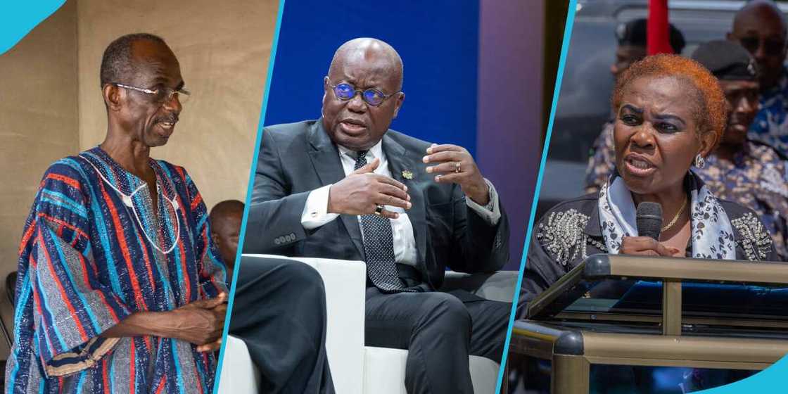Asiedu Nketia Jabs Akufo-Addo Asiedu Nketia Jabs Akufo-Addo