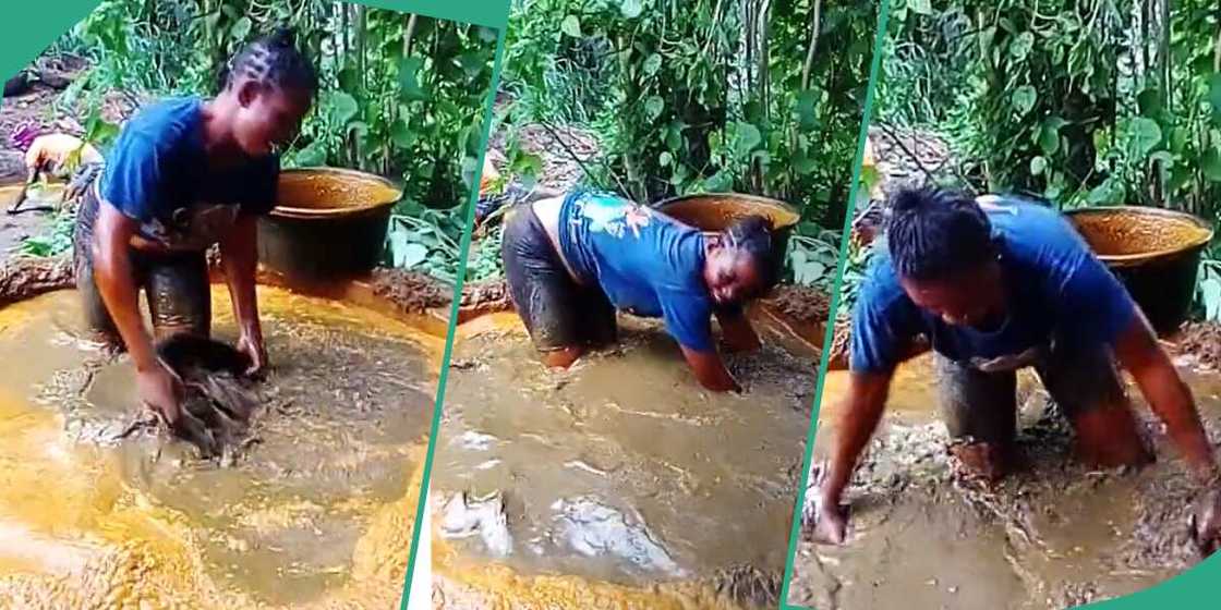 Lady producing palm oil.