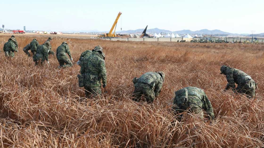 Soldiers search at the site of the Jeju Air passenger plane crash at Muan International Airport Soldiers search at the site of the Jeju Air passenger plane crash at Muan International Airport