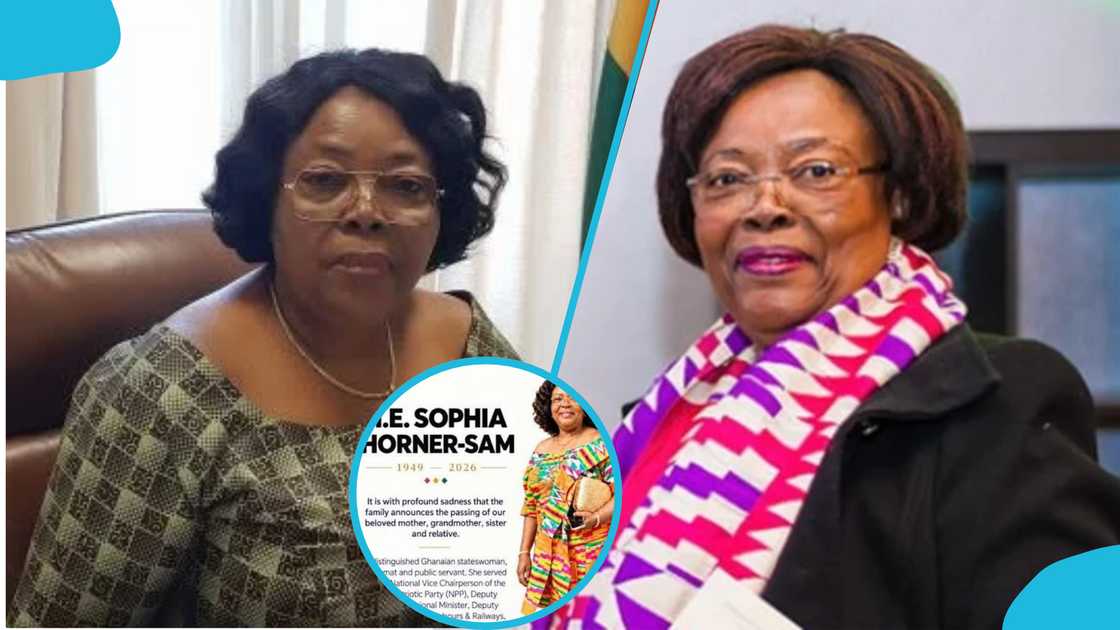 Former NPP National Vice Chairperson Sophia Horner-Sam, Ambassador Sophia Horner-Sam, NPP Members, Ghana Politicians, Ghanaian parliamentary staff, Nana Akufo-Addo