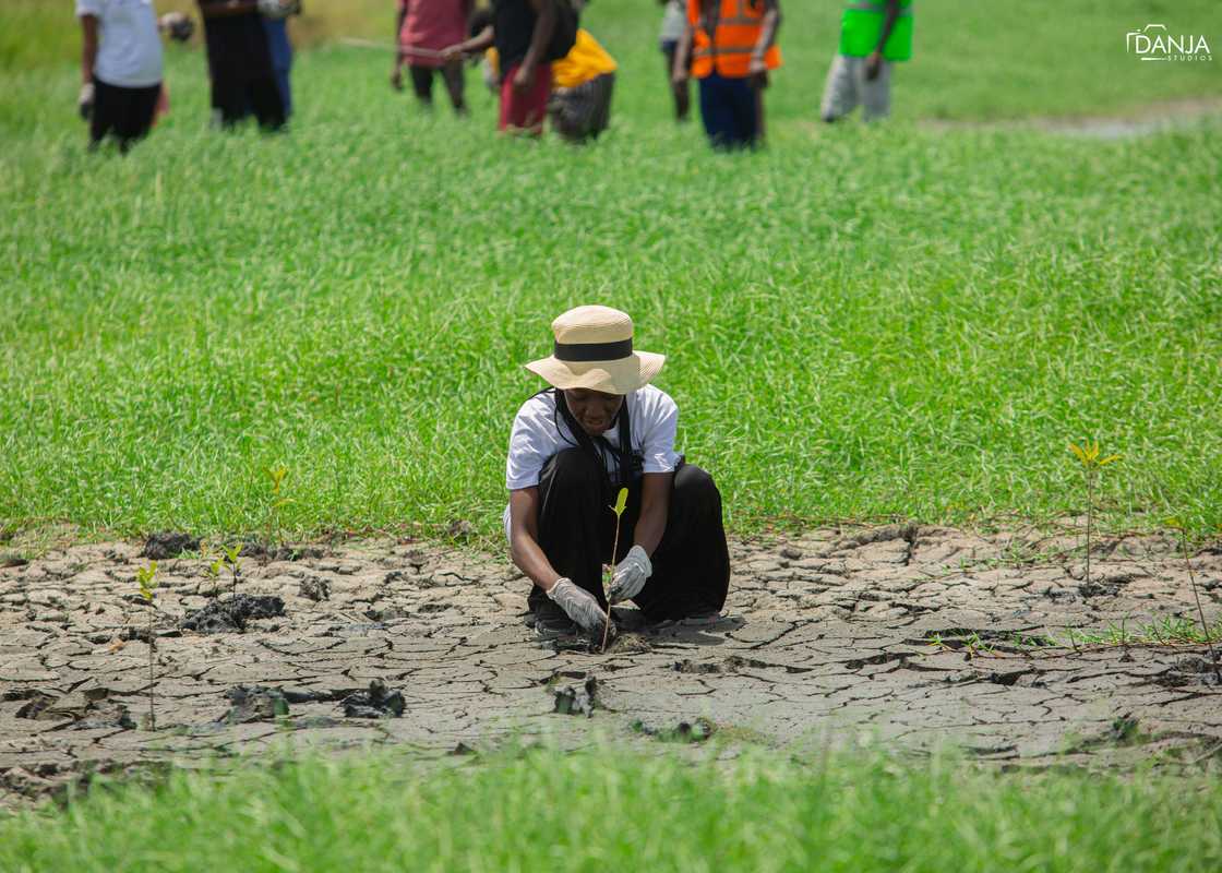 Dentsu Ghana Dentsu Ghana