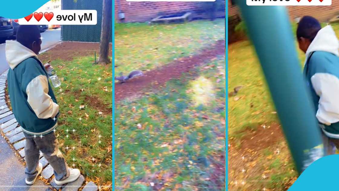 Yaw Dabo, Ghanaian actors, squirrel, animal protection laws, US, Ghanaians, abroad Yaw Dabo, Ghanaian actors, squirrel, animal protection laws, US, Ghanaians, abroad