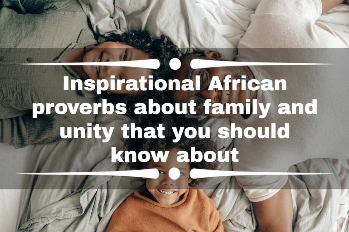 African proverbs about family