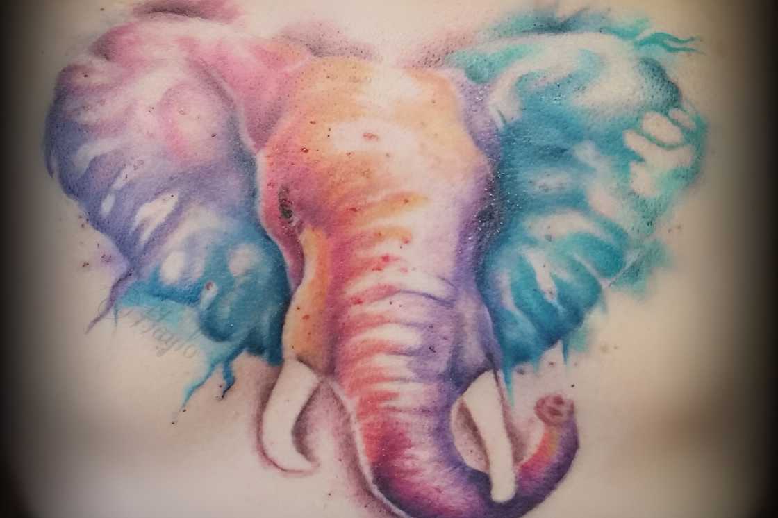 Colourful Japanese elephant back tattoo Colourful Japanese elephant back tattoo