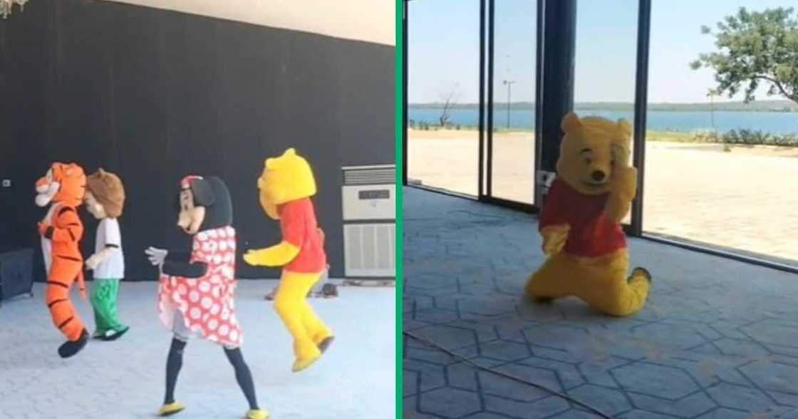 TikTok of Disney cartoons dancing