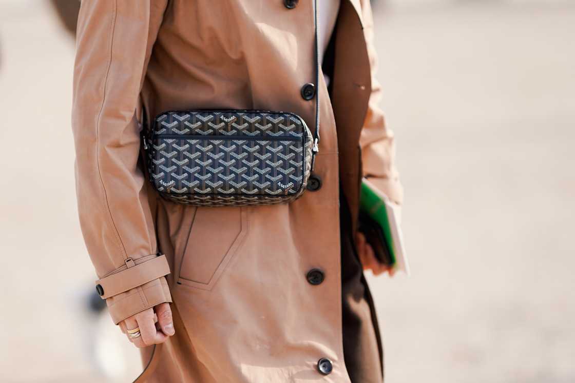 A Goyard bag is seen during Paris Fashion Week Menswear F/W 2019-2020. A Goyard bag is seen during Paris Fashion Week Menswear F/W 2019-2020.