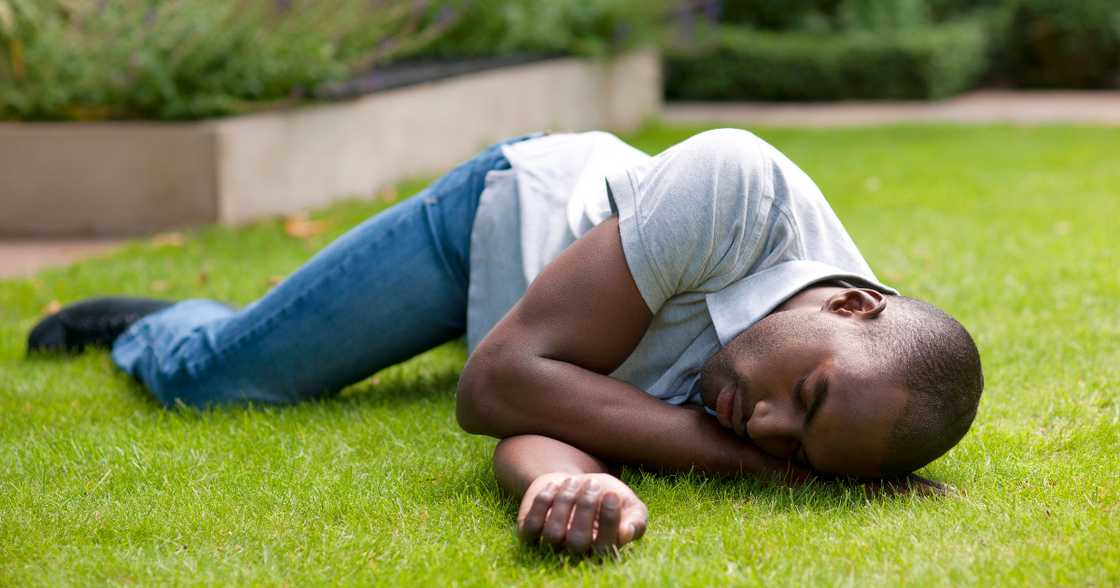 Snake, witchcraft, social media, South Africa, culture Snake, witchcraft, social media, South Africa, culture