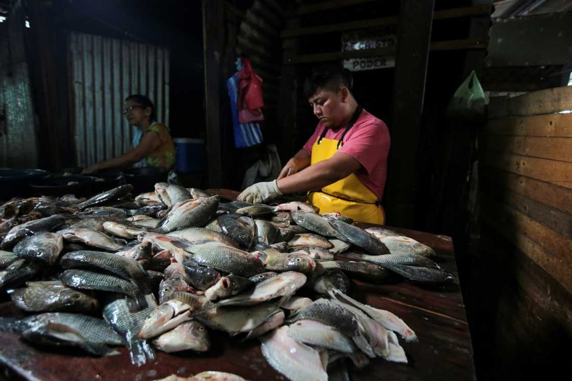 A man sells fish in a market in the Nicaraguan capital Managua A man sells fish in a market in the Nicaraguan capital Managua