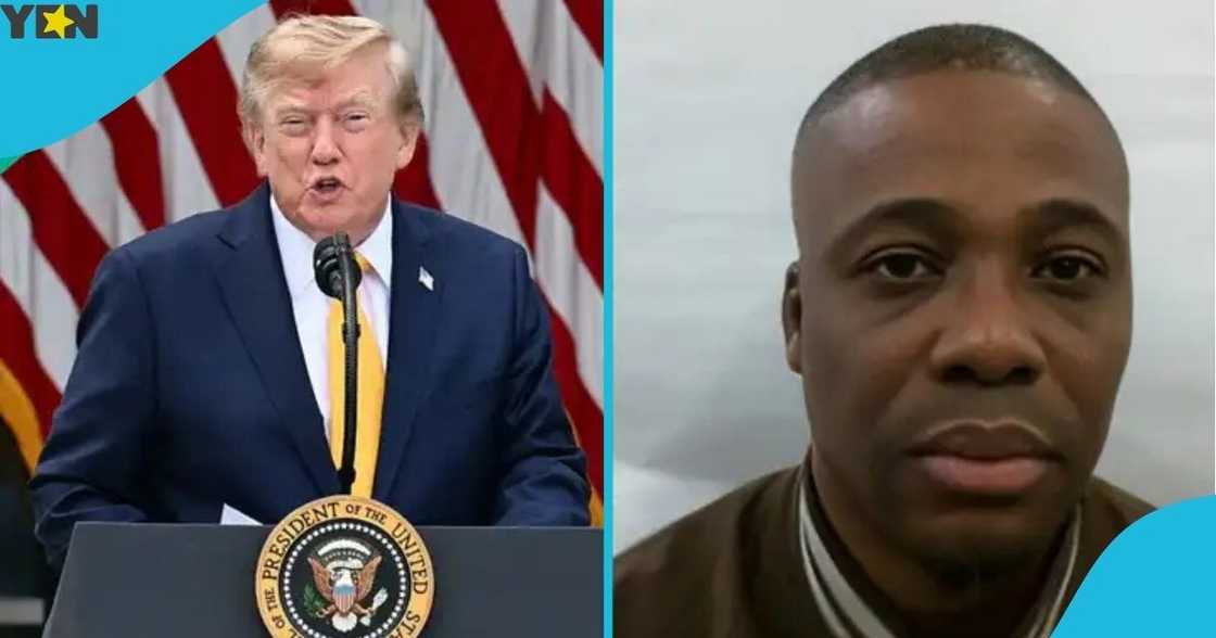 US Immigration and Customs Enforcement, ICE, United States government, 30 Nigerian nationals, US authorities US Immigration and Customs Enforcement, ICE, United States government, 30 Nigerian nationals, US authorities
