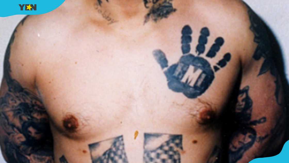 The La Eme gang tattoo The La Eme gang tattoo