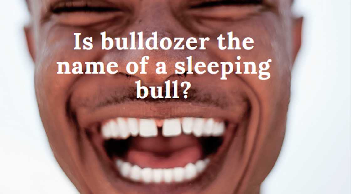 question jokes clean question jokes clean