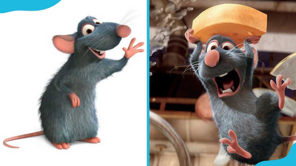 Remy from Ratatouille Remy from Ratatouille