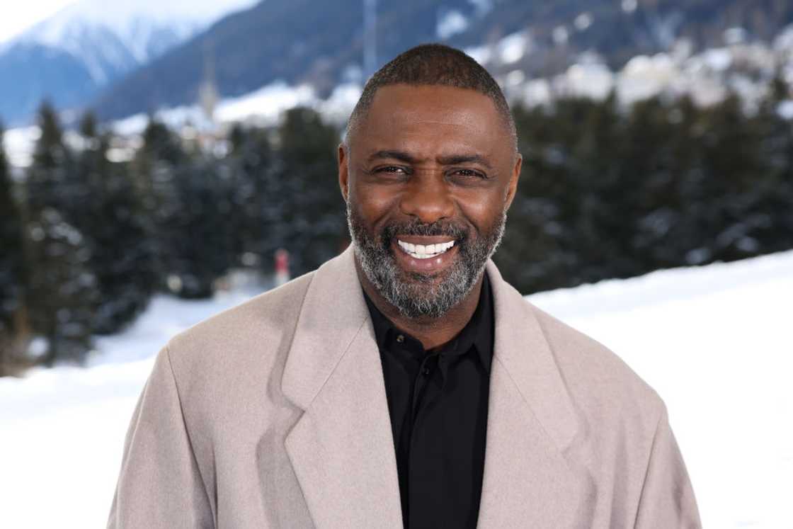 sonya nicole hamlin and idris elba's divorce