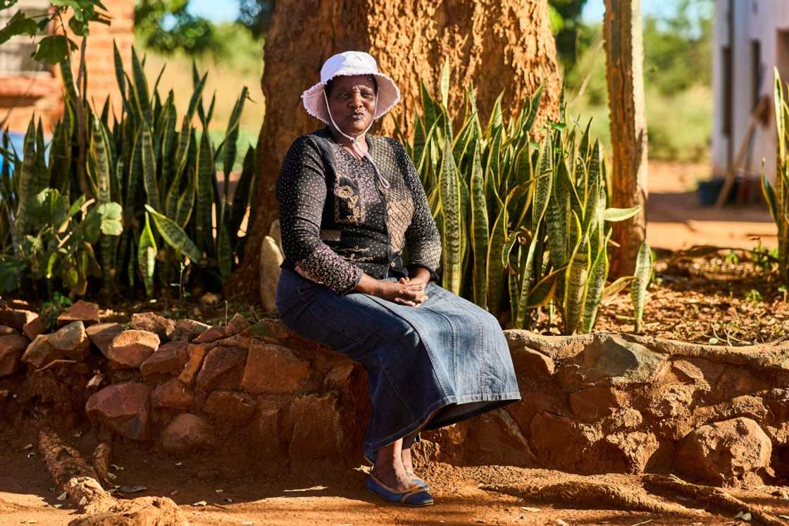 Miriam Mupambawashe has developed a thriving small farm Miriam Mupambawashe has developed a thriving small farm
