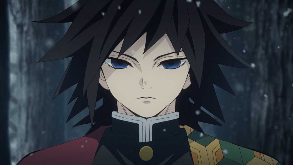 Demon Slayer characters Demon Slayer characters